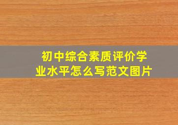 初中综合素质评价学业水平怎么写范文图片