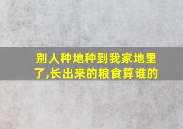 别人种地种到我家地里了,长出来的粮食算谁的