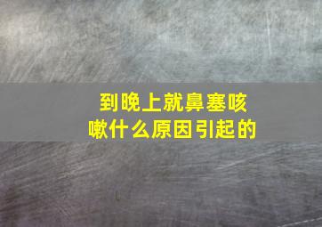 到晚上就鼻塞咳嗽什么原因引起的