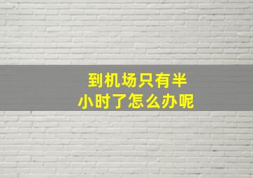 到机场只有半小时了怎么办呢