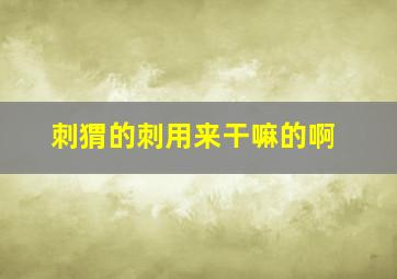 刺猬的刺用来干嘛的啊