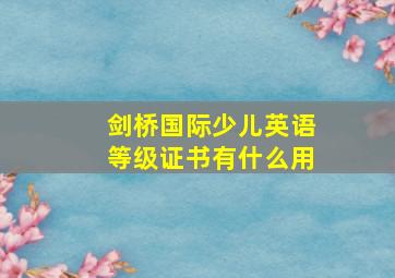 剑桥国际少儿英语等级证书有什么用