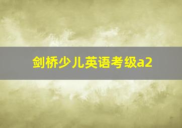 剑桥少儿英语考级a2