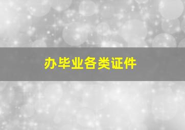 办毕业各类证件