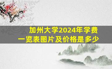 加州大学2024年学费一览表图片及价格是多少