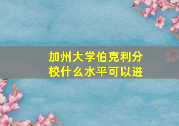 加州大学伯克利分校什么水平可以进