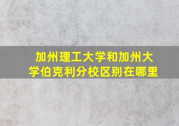 加州理工大学和加州大学伯克利分校区别在哪里