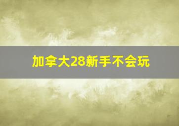 加拿大28新手不会玩