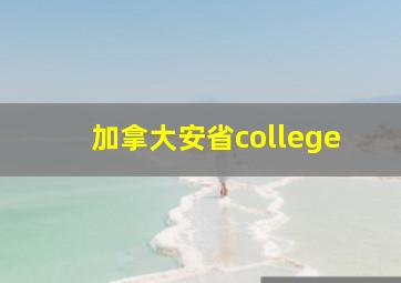 加拿大安省college