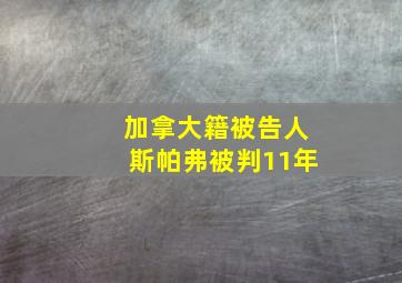 加拿大籍被告人斯帕弗被判11年