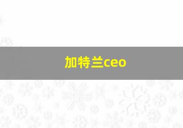 加特兰ceo