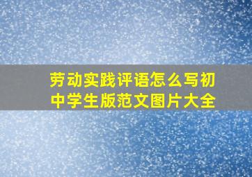 劳动实践评语怎么写初中学生版范文图片大全