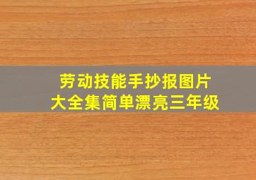 劳动技能手抄报图片大全集简单漂亮三年级