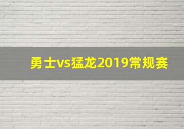 勇士vs猛龙2019常规赛