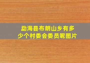 勐海县布朗山乡有多少个村委会委员呢图片