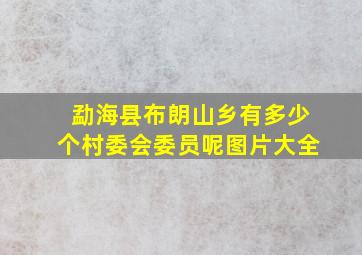 勐海县布朗山乡有多少个村委会委员呢图片大全