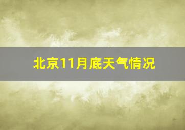 北京11月底天气情况