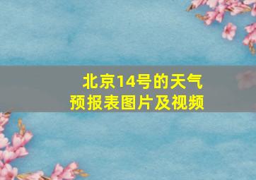 北京14号的天气预报表图片及视频