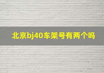 北京bj40车架号有两个吗