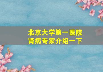 北京大学第一医院肾病专家介绍一下