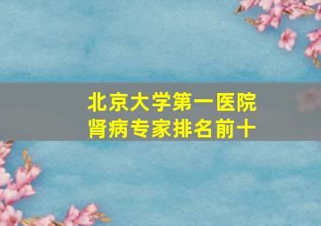 北京大学第一医院肾病专家排名前十