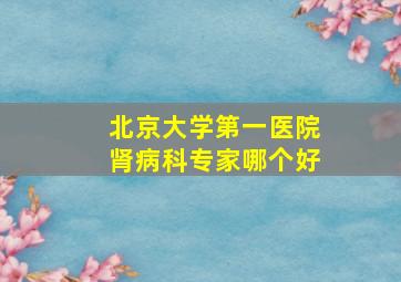 北京大学第一医院肾病科专家哪个好