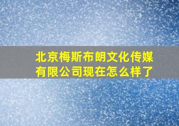 北京梅斯布朗文化传媒有限公司现在怎么样了