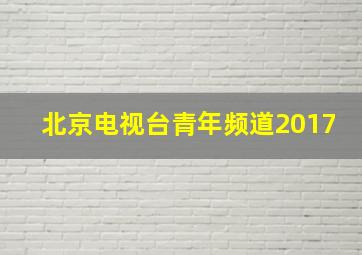 北京电视台青年频道2017