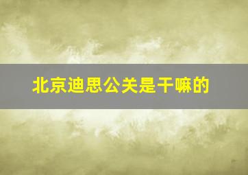 北京迪思公关是干嘛的