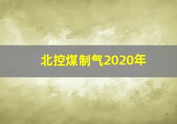 北控煤制气2020年