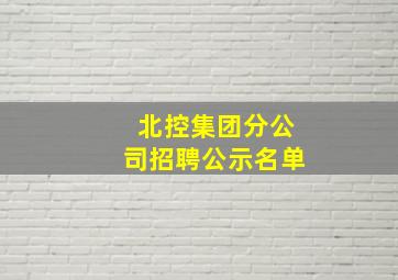 北控集团分公司招聘公示名单