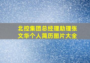 北控集团总经理助理张文华个人简历图片大全