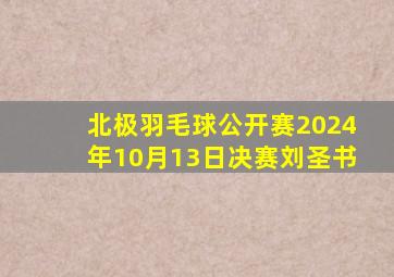 北极羽毛球公开赛2024年10月13日决赛刘圣书