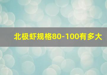 北极虾规格80-100有多大