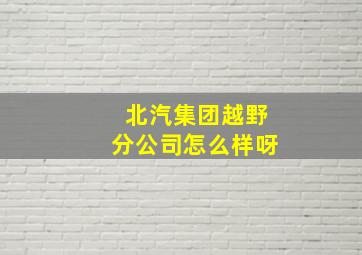 北汽集团越野分公司怎么样呀