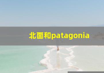 北面和patagonia