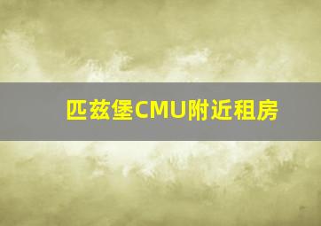 匹兹堡CMU附近租房