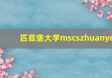 匹兹堡大学mscszhuanye