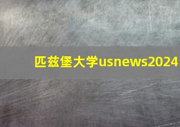 匹兹堡大学usnews2024