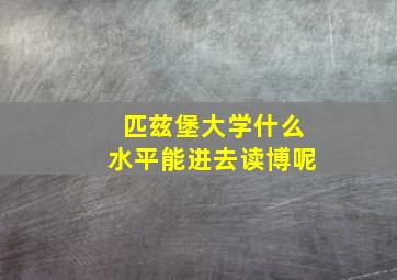 匹兹堡大学什么水平能进去读博呢