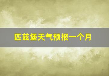 匹兹堡天气预报一个月