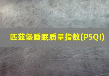 匹兹堡睡眠质量指数(PSQI)