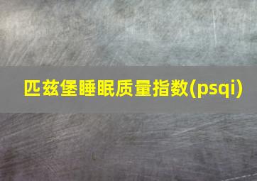 匹兹堡睡眠质量指数(psqi)