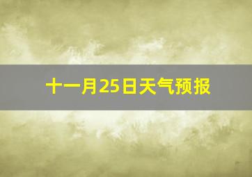 十一月25日天气预报