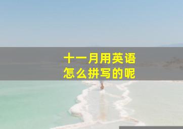 十一月用英语怎么拼写的呢