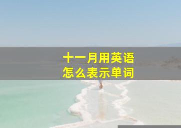 十一月用英语怎么表示单词