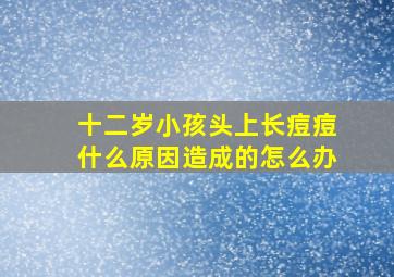 十二岁小孩头上长痘痘什么原因造成的怎么办