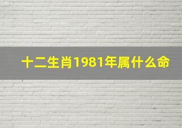 十二生肖1981年属什么命