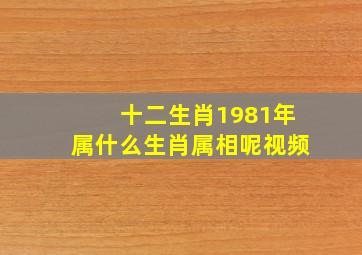 十二生肖1981年属什么生肖属相呢视频