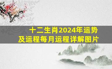 十二生肖2024年运势及运程每月运程详解图片